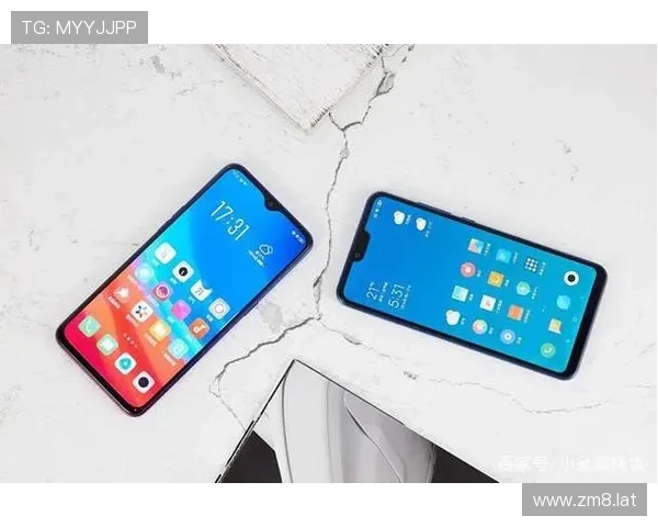 探索k1体育平台的独特魅力与卓越用户体验
